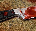 Астраханец зарезал двух собутыльников и уснул неподалеку 