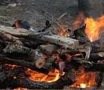 Двое астраханцев изготавливали гашиш прямо в лесу