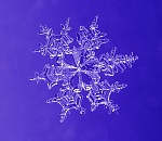 С первым снегом, народ!