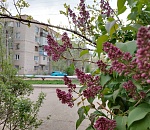 Тепло возвращается: завтра астраханцам обещают до +20