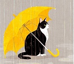 Синоптики обещают астраханцам в субботу теплую погоду и дождь