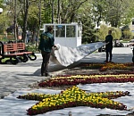 Высадке цветов в скверах и парках Астрахани коронавирус не помеха
