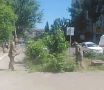 Борьбу с сорняками усилят в Астрахани