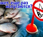 Будет ли еще жестче: приезжающих в Астраханскую область рыболовов пугают новыми ограничениями