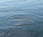 В воскресенье под Астраханью нашли утонувшего мужчину