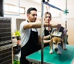 В Астраханской области работодатели ищут врачей-сексологов, бариста и грумеров