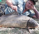 Это рекорд. В Астраханской области поймали сазана-монстра