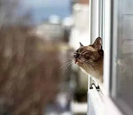 Сегодня в Астрахани почти рекордное тепло