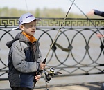 В субботу в Астрахани пройдет юбилейный фестиваль "Вобла-2017"