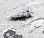 В Астрахани под мостом нашли вмерзшее в лед тело мужчины