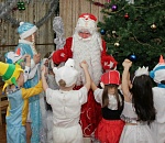 В астраханских школах и детских садах запретили массовые новогодние елки