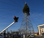 В Трусовском районе Астрахани из живых деревьев устанавливают главную ёлку