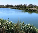 Под Астраханью образовавшееся в селе из-за канализационного слива «озеро» Роприроднадзор оценил в 6 млн рублей вреда