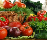 Астраханские фермеры продали 1000 тонн зелени 