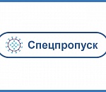 До понедельника ужесточений не планируется, но потом пропуска могут вернуть