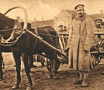 Чем жили. Подготовке к новогодним праздникам в Астрахани мешала грязь