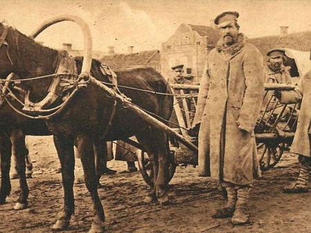 Чем жили. Подготовке к новогодним праздникам в Астрахани мешала грязь