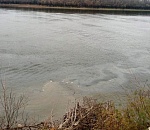 Под Астраханью обнаружили маслянистую пленку на воде