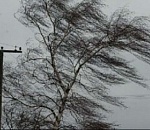 Завтра в Астрахани ожидаются ветер и снег с дождем