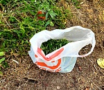 Работник астраханской управляющей компании не смог объяснить полицейским, зачем ему нужна конопля