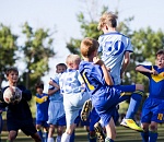 «Лето-2013»: юные волгари вернулись с золотом и бронзой