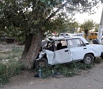 В Астрахани иностранец без прав врезался в дерево на чужой машине