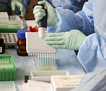 +178 заболевших, +4 жертвы: астраханская статистика по ковиду