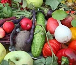 Астраханцев приглашают на большую сельскохозяйственную ярмарку