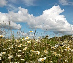 Астраханская погода в июле