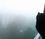 Завтра в Астрахани будет туманно и мокро