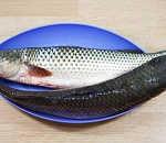 Астраханцы могут продегустировать и недорого купить каспийскую кефаль