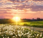 Завтра в Астраханской области установится приятный майский день без всяких ветро-дождевых раздражителей