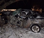 Астраханец на иномарке с детьми в салоне врезался в дерево: есть жертвы 