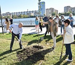 В Астрахани на Аллее семьи высадили новые деревья