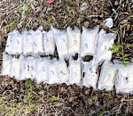 В Астраханской области накрыли большую наркогруппу из 26 закладчиков