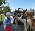 Астраханский зоопарк открылся после карантина, но с определенными условиями