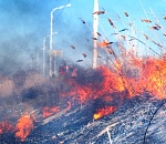 МЧС предупреждает: Астрахань может накрыть запах гари