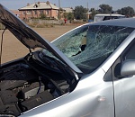 В Астрахани столкнулись четыре автомобиля: пострадал 2-летний ребенок, его мать погибла