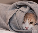 Астраханцам обещают минусовую температуру