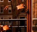 Завтра в Астраханской области ночь пройдет под знаком минус, а днем уже не вспоминаем о +10°