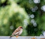 В Астрахань идёт резкое похолодание