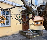 Завтра в Астраханской области установится крепкий минус