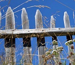 Ни выехать, ни въехать: астраханское село отрезали от мира