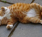 Астраханцев ждет жаркое воскресенье 