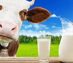 В астраханские школы и детсады поставляли некачественные молочные продукты