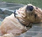 В понедельник в Астрахани будет еще жарче