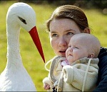 Астраханская область на 25 месте в России по рождаемости