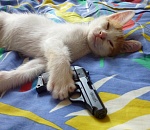 Астраханцы стали меньше убивать и воровать