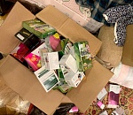 В Астрахани перекрыли канал ввоза сибутрамина. ВИДЕО