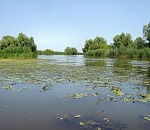 Из-за маловодья риск пожаров и заморов в Астраханском заповеднике резко возрос